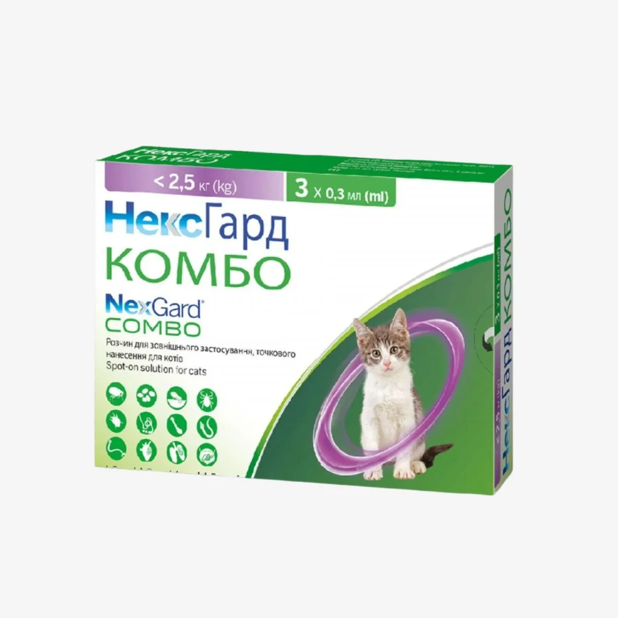 catalogue_background_savezone (90).webp