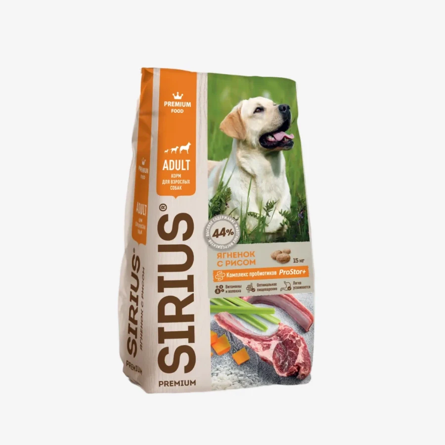 frame - 2026-02-13T110008.763.webp