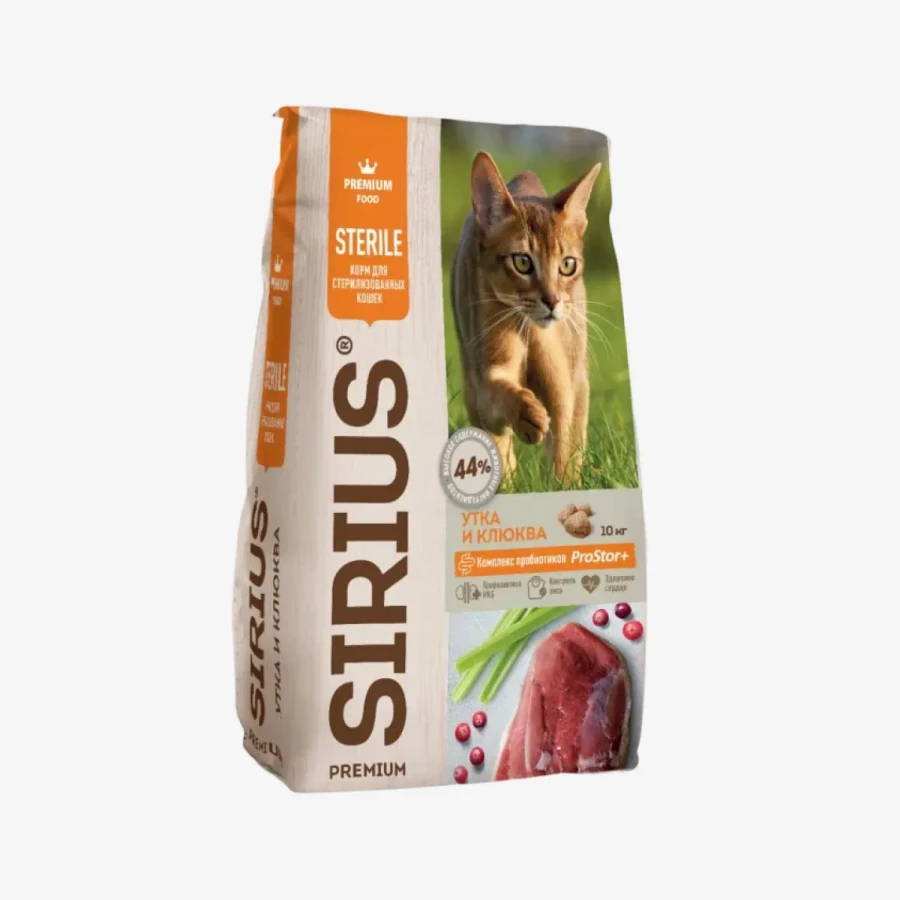 frame - 2026-02-13T124323.296.webp