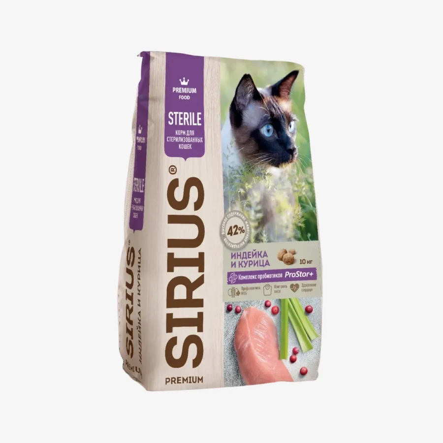 frame - 2026-02-13T133137.359.webp