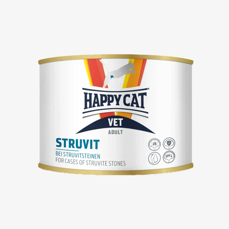 frame - 2026-02-13T150121.768.webp