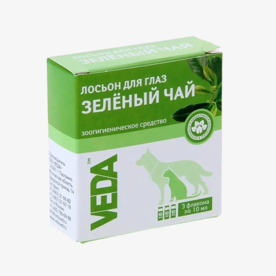 frame - 2026-02-16T111311.347.webp