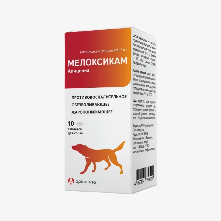 frame - 2026-02-16T114425.705.webp