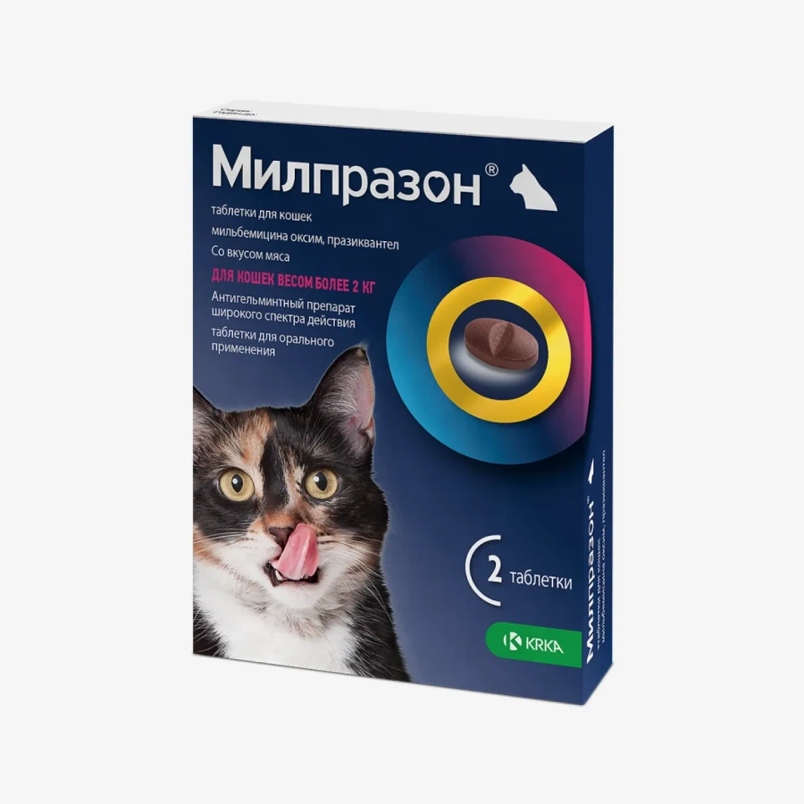 frame - 2026-02-16T133006.369.webp