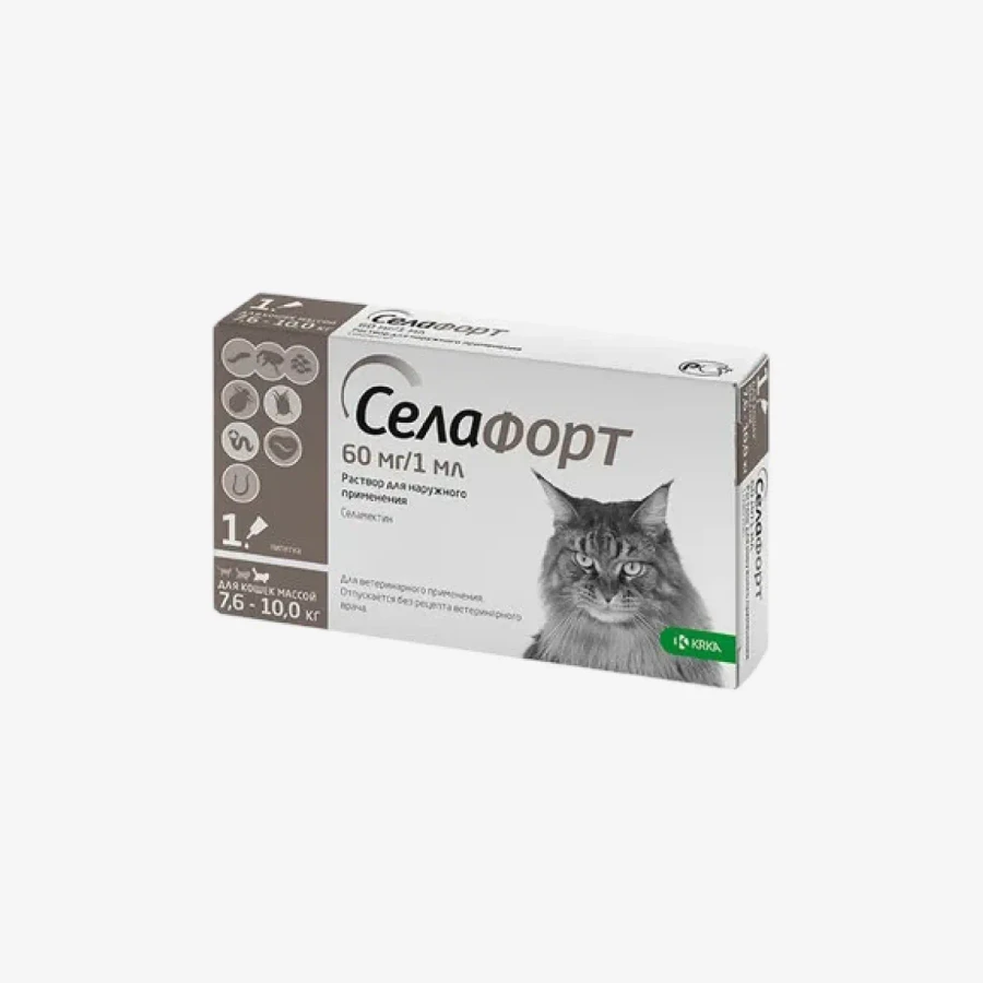 frame - 2026-02-16T153351.415.webp