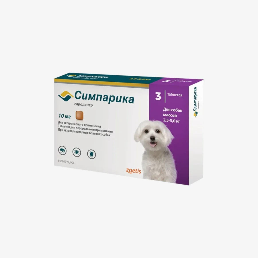 frame - 2026-02-17T134222.640.webp