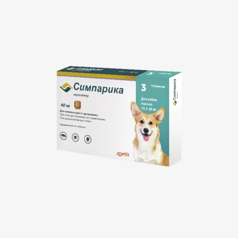 frame - 2026-02-17T182836.817.webp