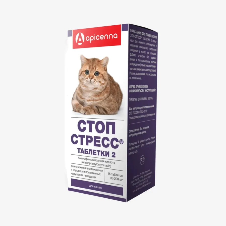 frame - 2026-02-17T211921.556.webp