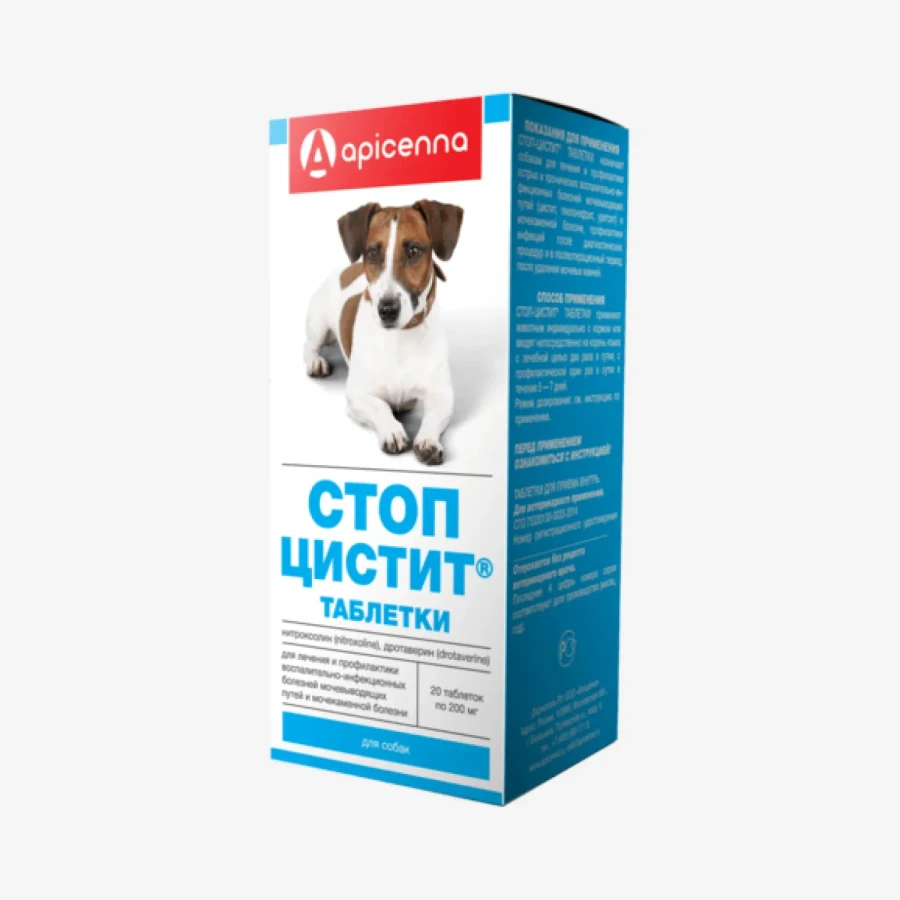 frame - 2026-02-17T214035.098.webp