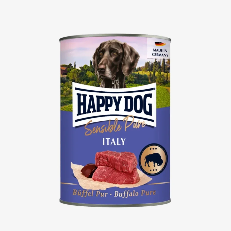 frame - 2026-02-18T121356.778.webp