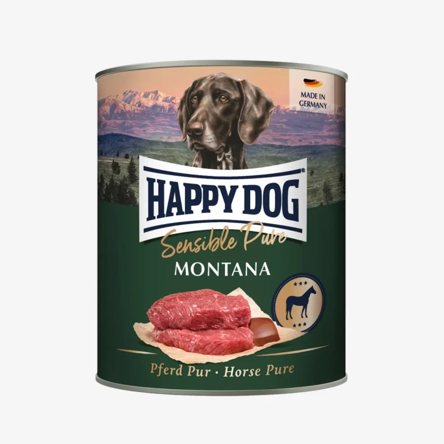 frame - 2026-02-18T122145.464.webp