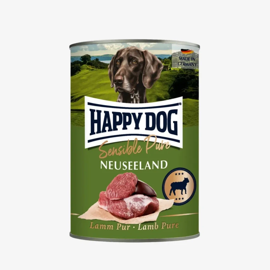 frame - 2026-02-18T122853.130.webp