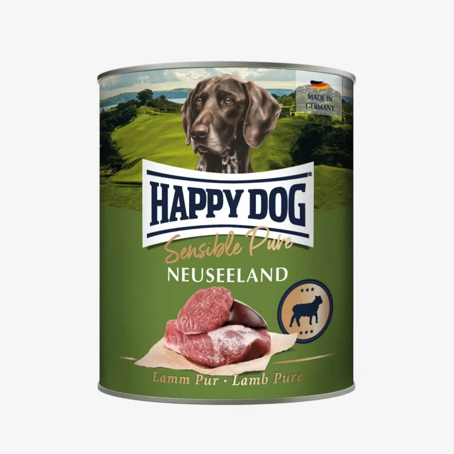 frame - 2026-02-18T123356.574.webp