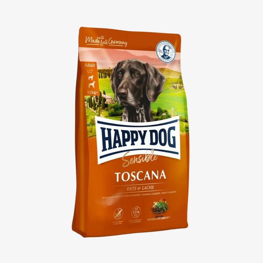 frame - 2026-02-18T131646.954.webp