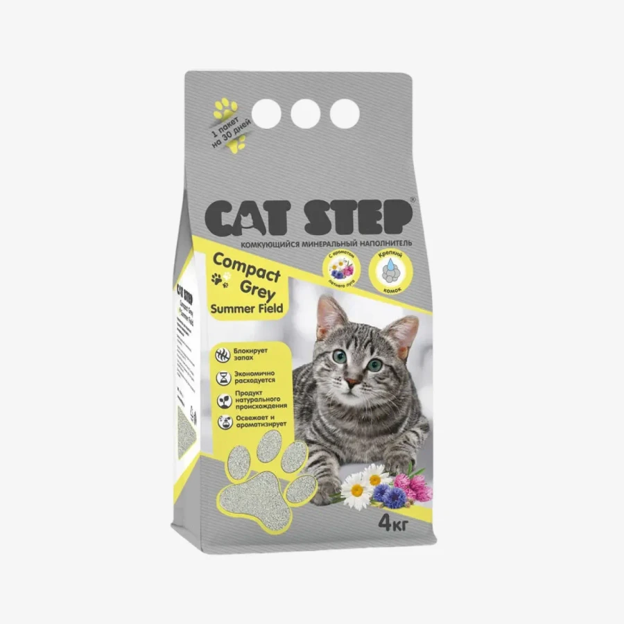 frame - 2026-02-18T193948.633.webp