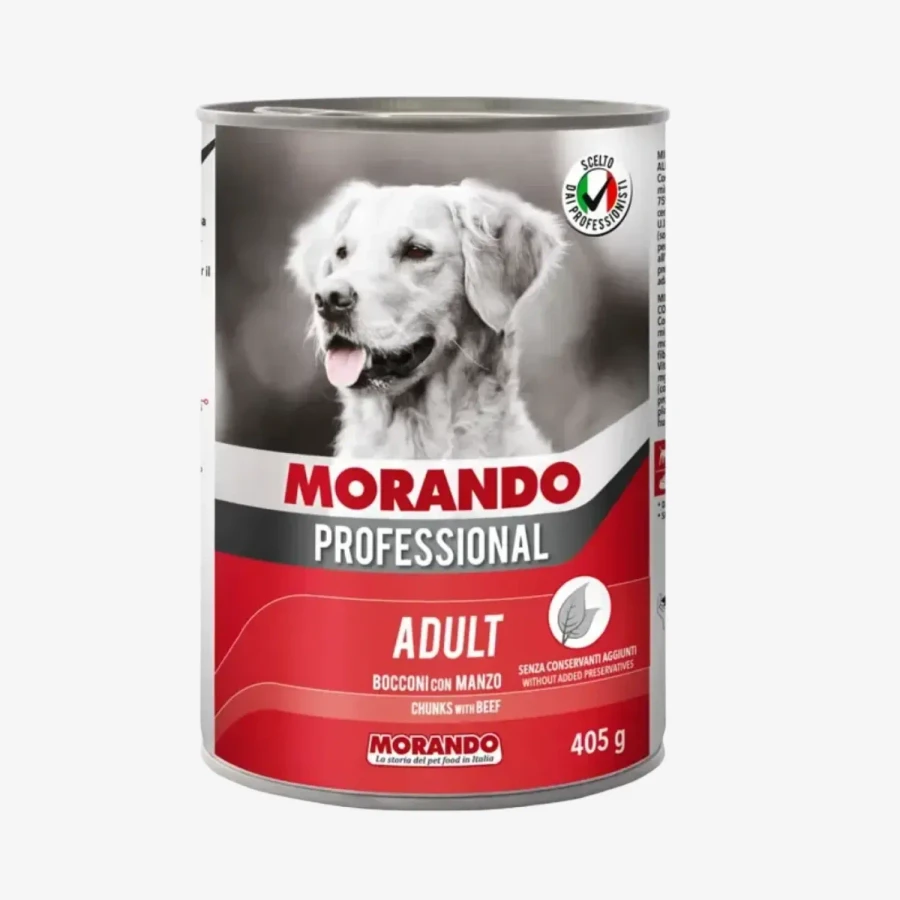 frame - 2026-02-25T204023.580.webp