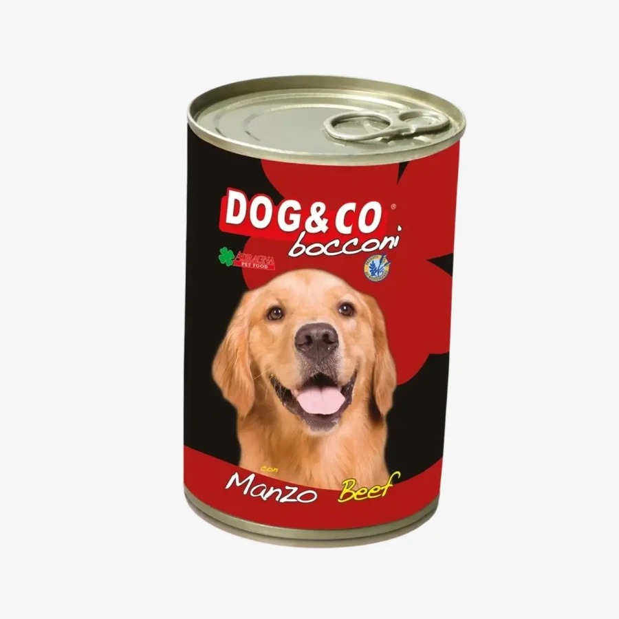 frame - 2026-02-25T220049.532.webp