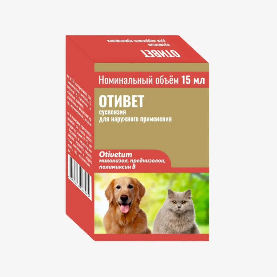 frame - 2026-02-25T225839.145.webp