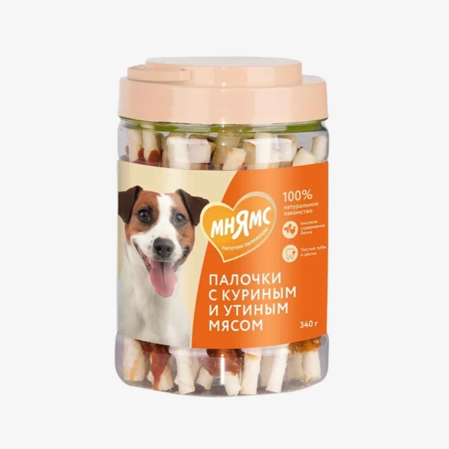 frame - 2026-02-26T124244.738.webp