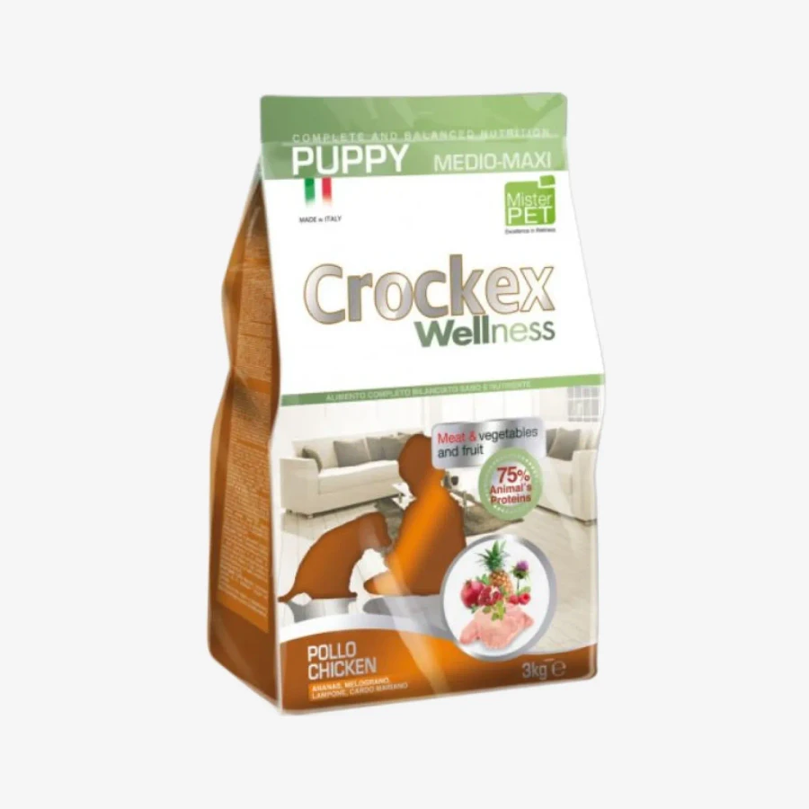 frame - 2026-04-10T095228.180.webp