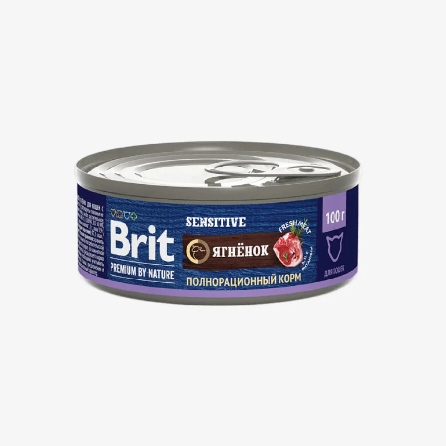 frame - 2026-04-10T101810.232.webp