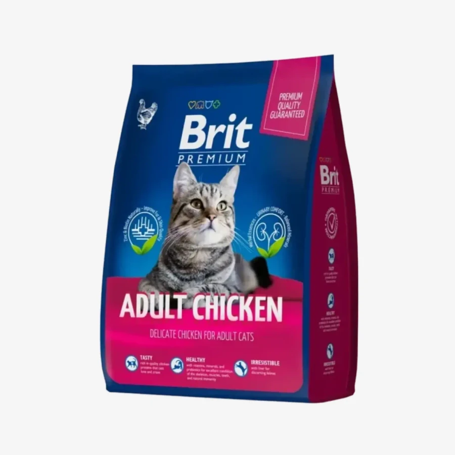 frame - 2026-04-10T112320.189.webp