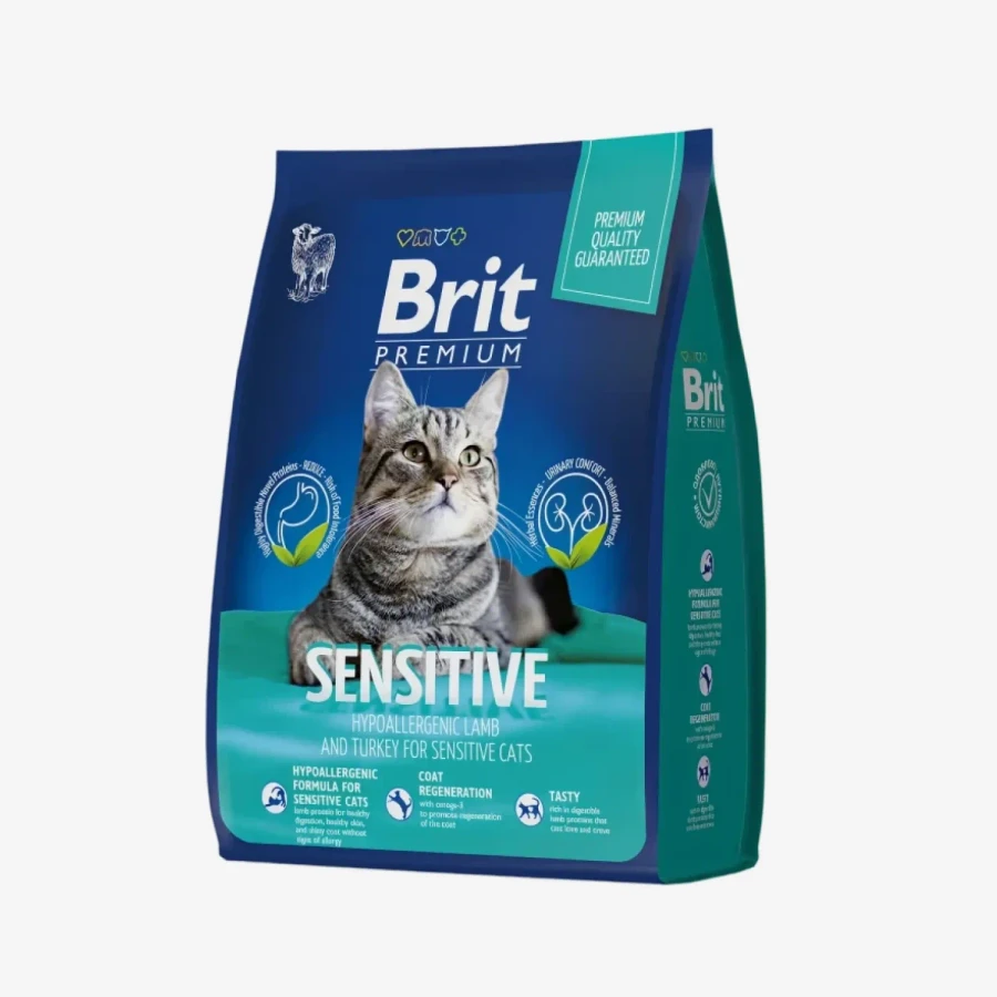 frame - 2026-04-10T113439.652.webp