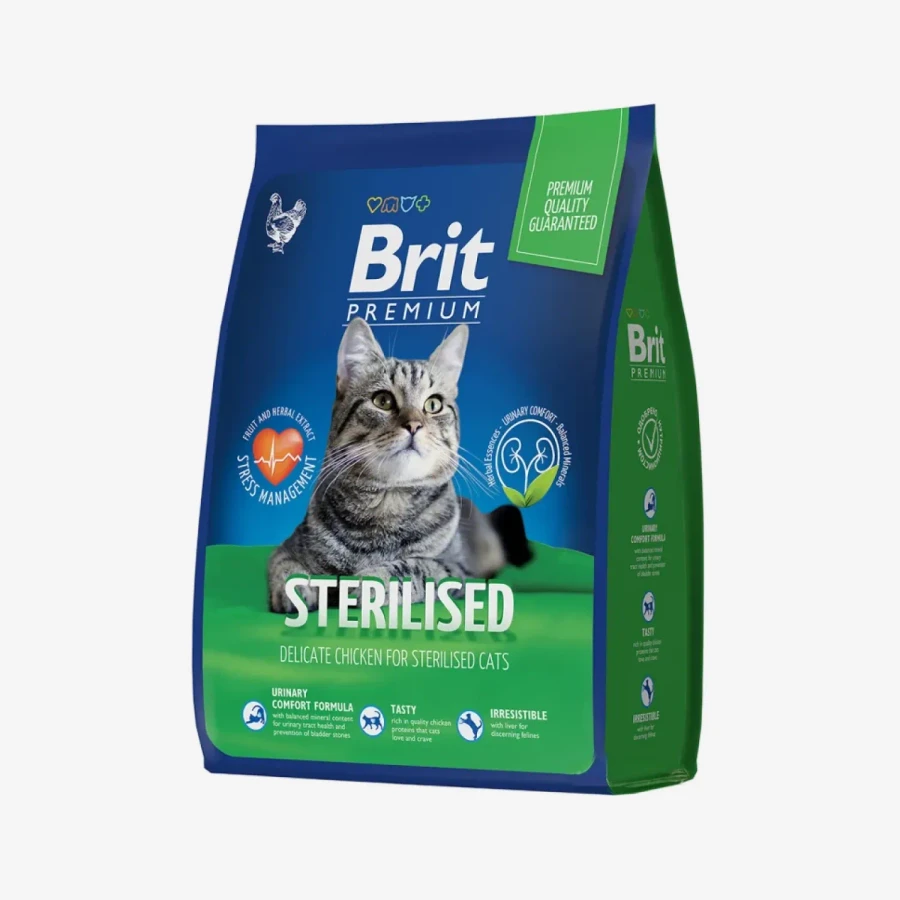 frame - 2026-04-10T114440.062.webp