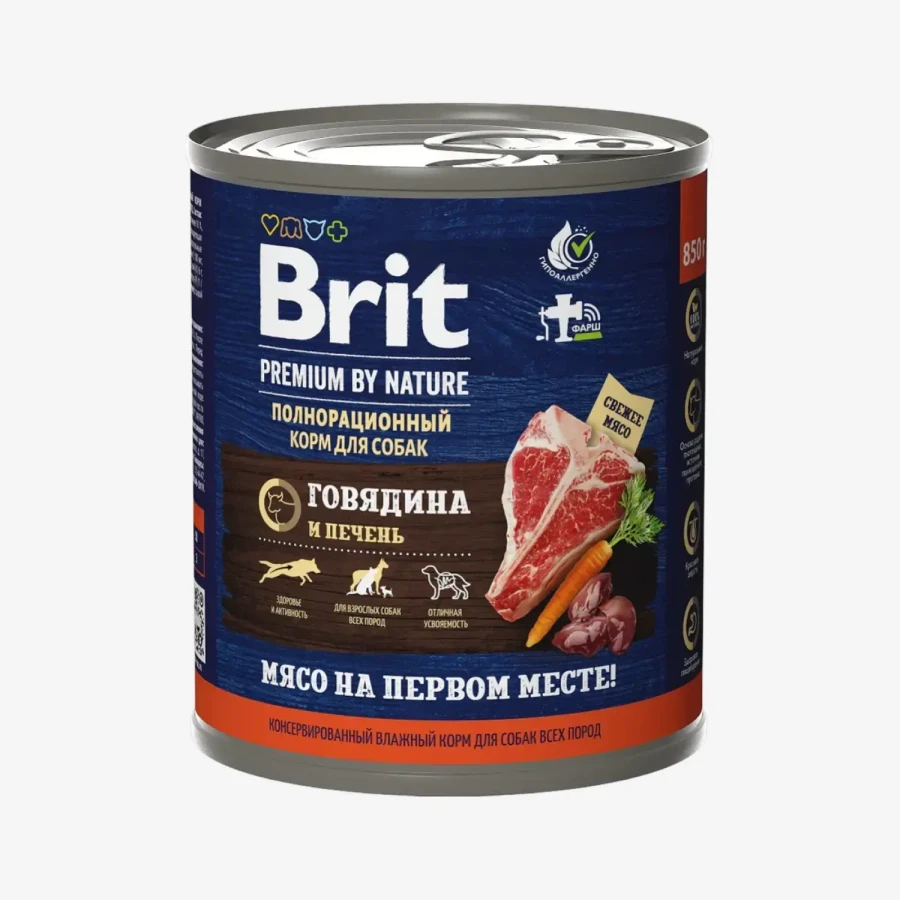 frame - 2026-04-10T121015.481.webp