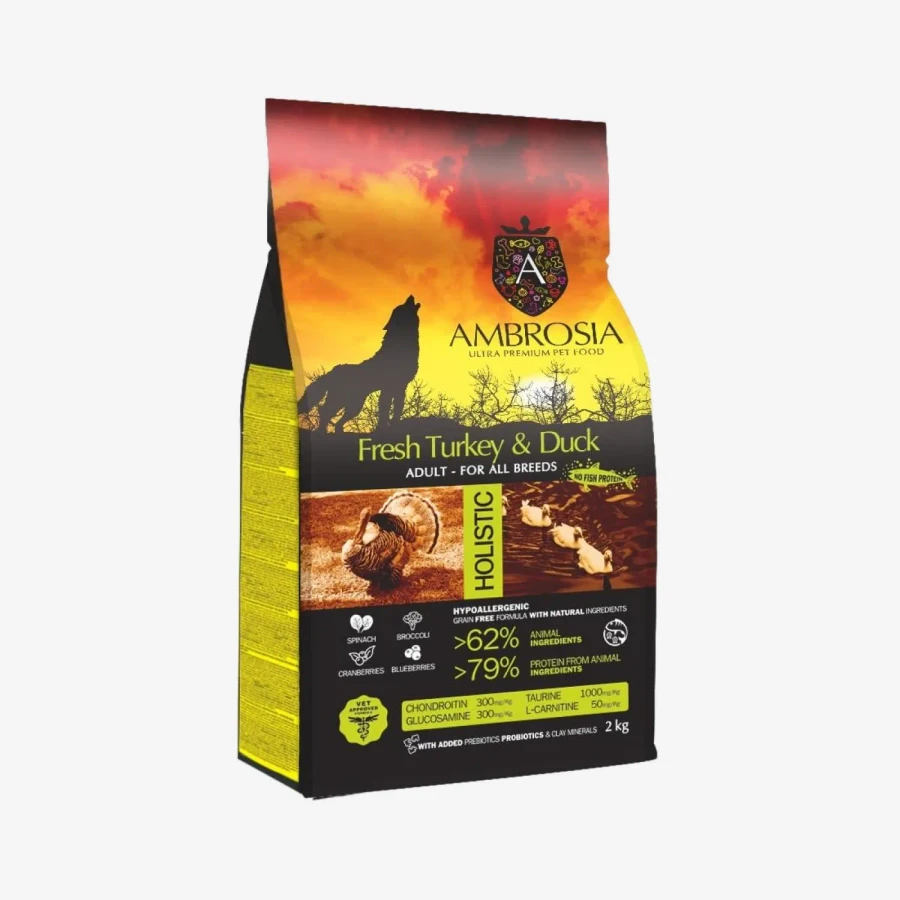 frame - 2026-04-14T123240.175.webp