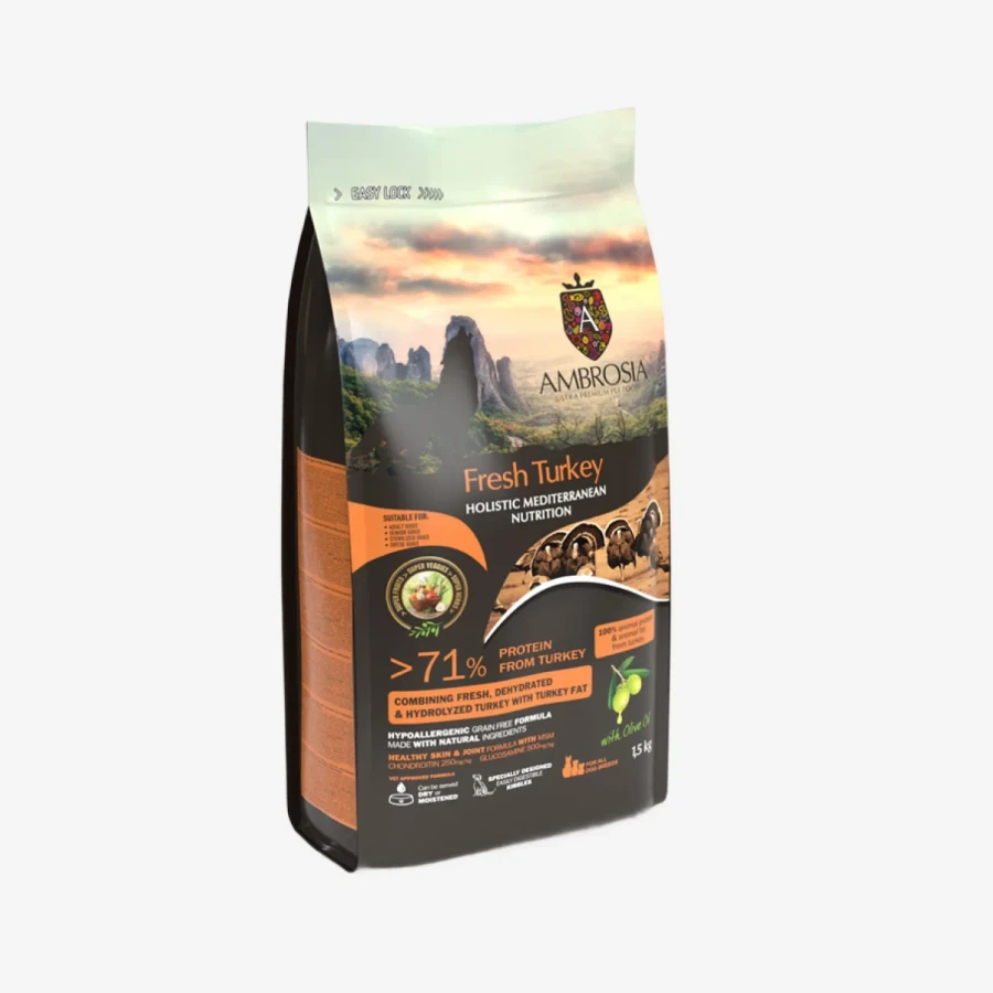 frame - 2026-04-14T154203.944.webp