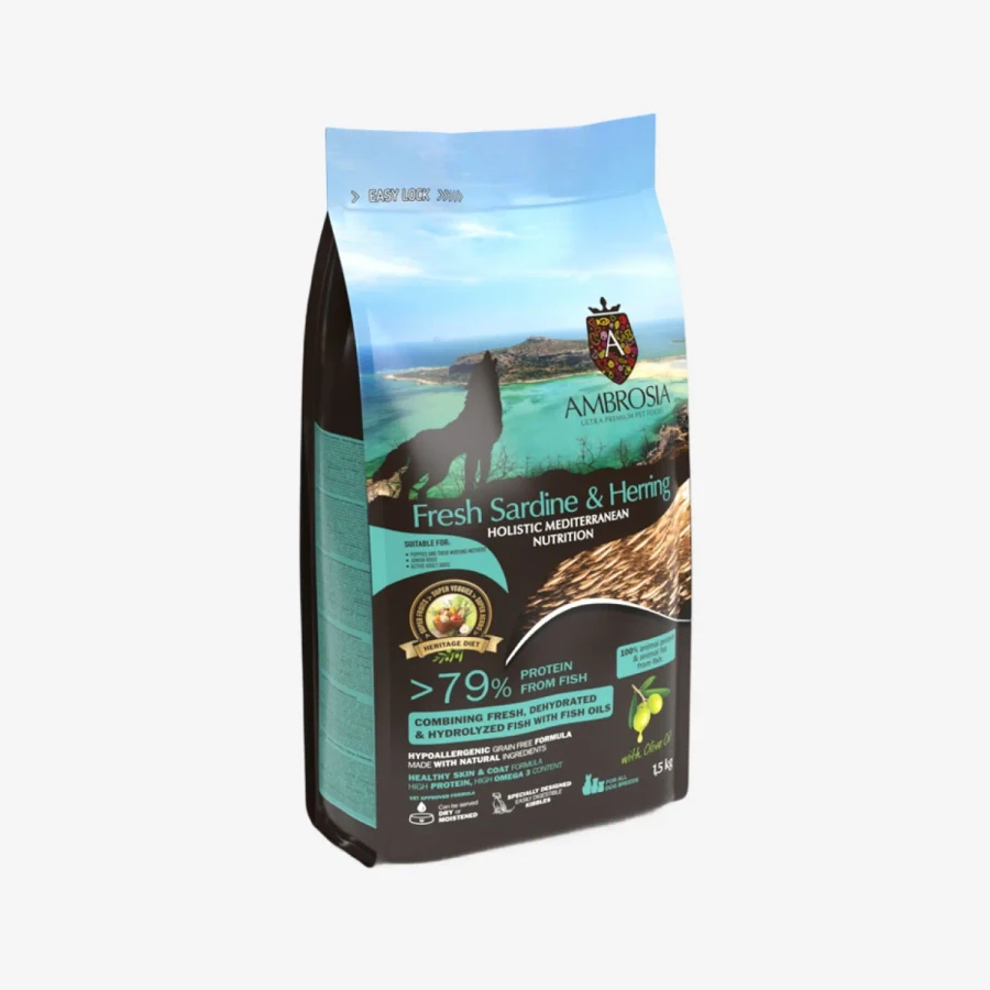 frame - 2026-04-14T161945.665.webp