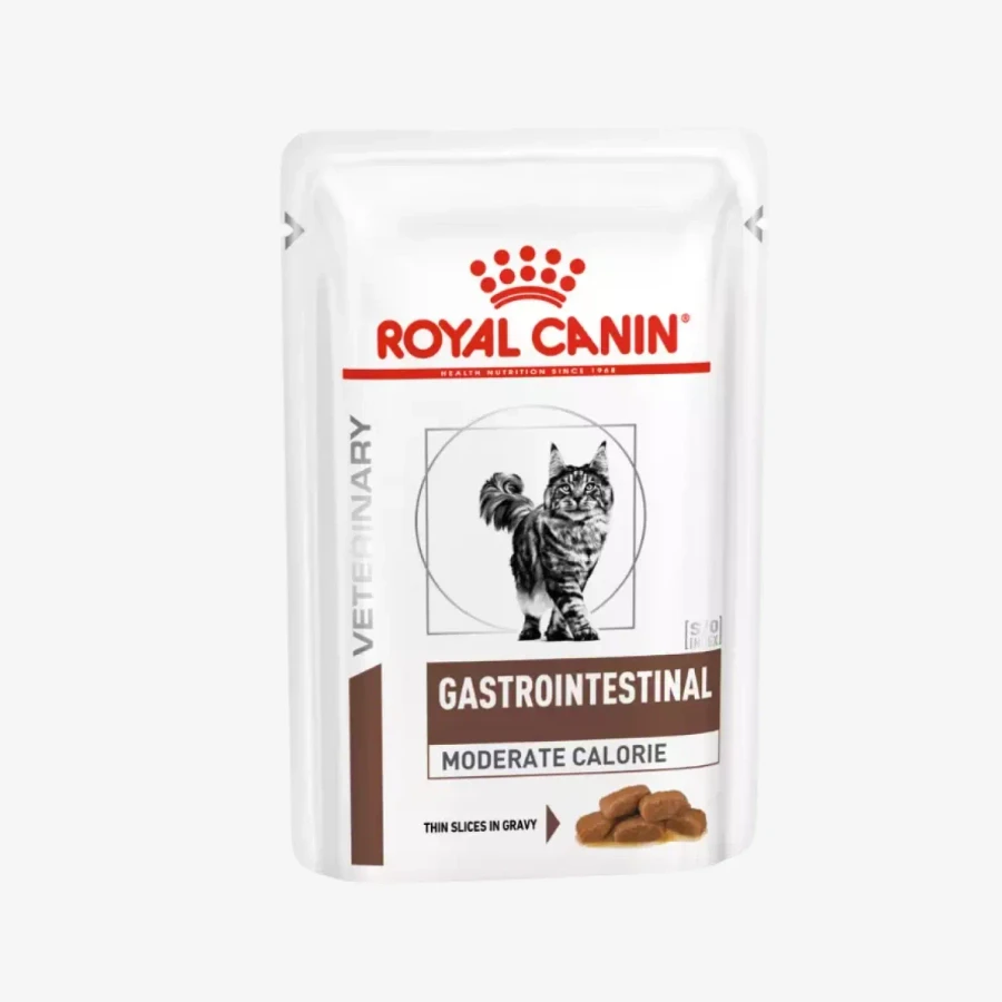 frame - 2026-04-16T110405.996.webp