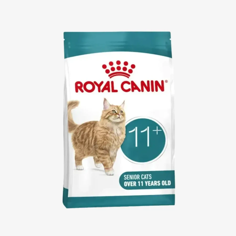 frame - 2026-04-16T112822.760.webp