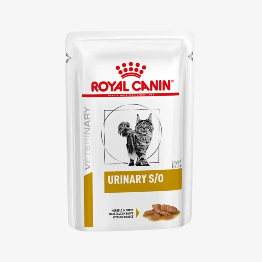 frame - 2026-04-16T115401.641.webp