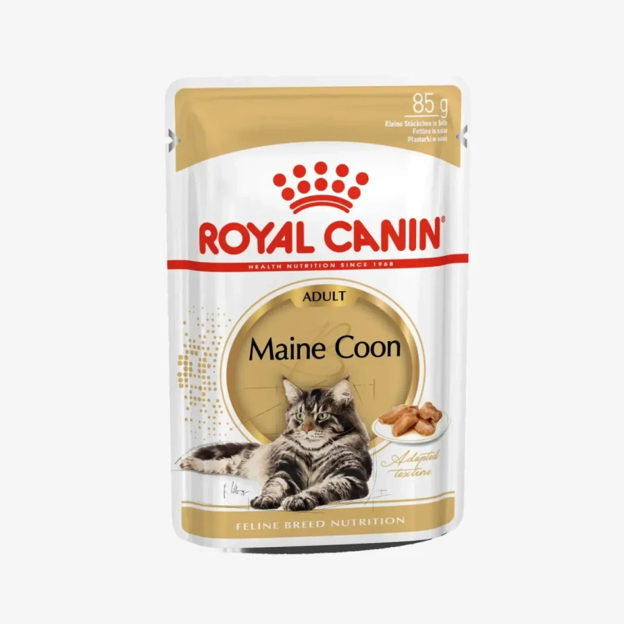 frame - 2026-04-16T120701.511.webp