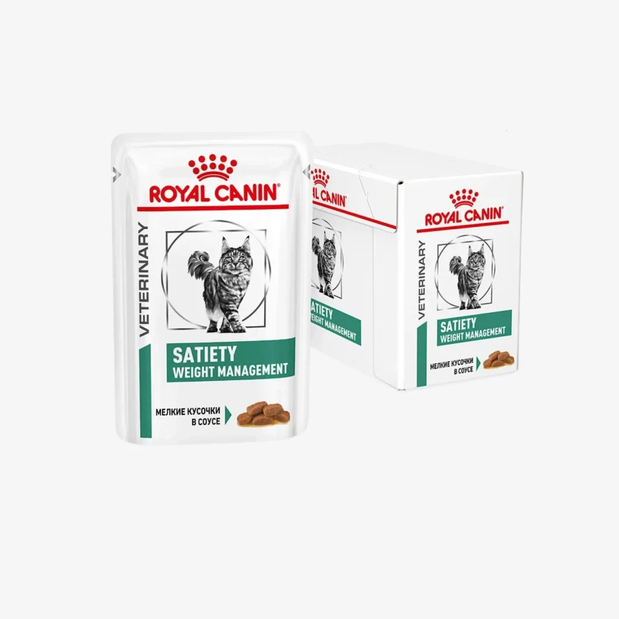 frame - 2026-04-21T153132.696.webp