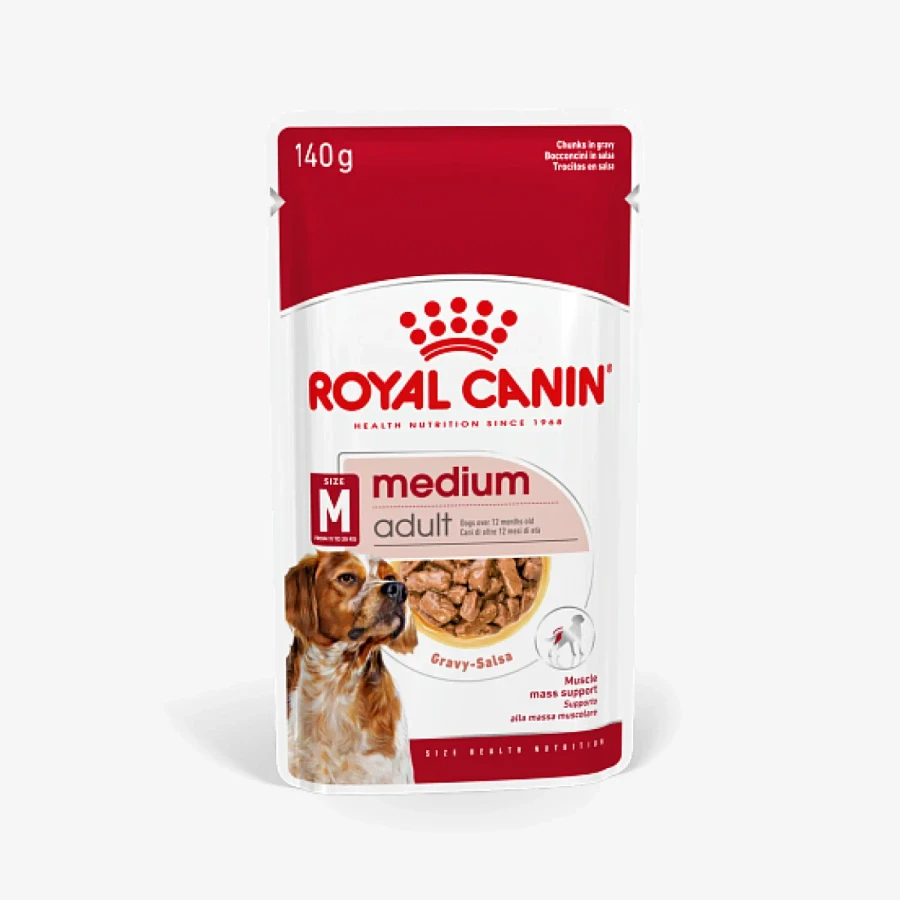 frame - 2026-04-21T155207.273.webp