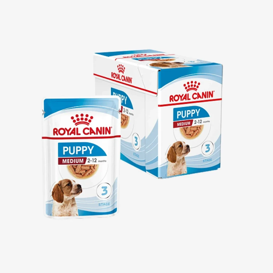 frame - 2026-04-21T161633.661.webp