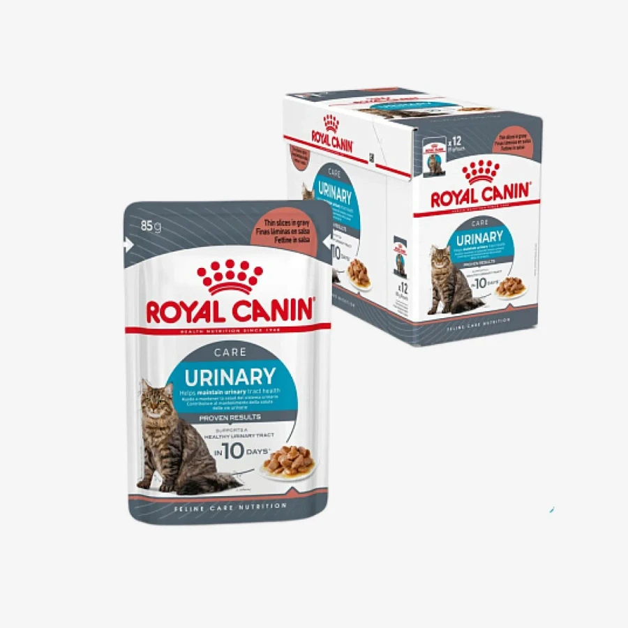 frame - 2026-04-21T170719.153.webp