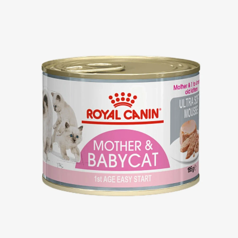 frame - 2026-04-21T171623.089.webp