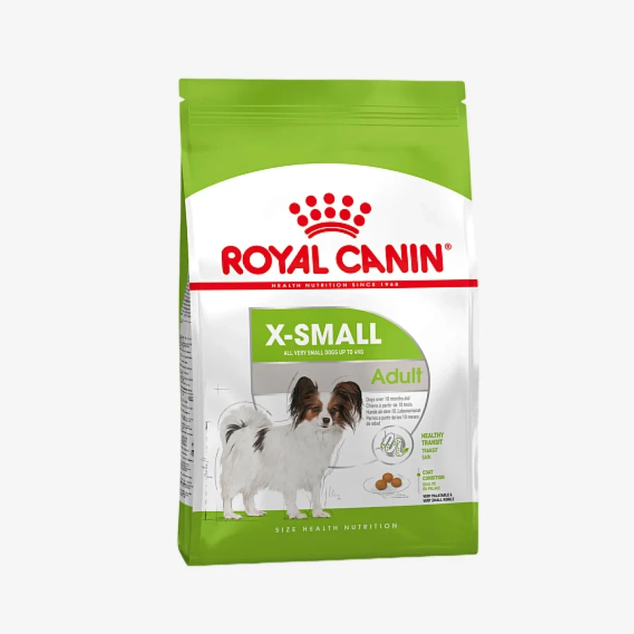 frame - 2026-04-22T103557.489.webp