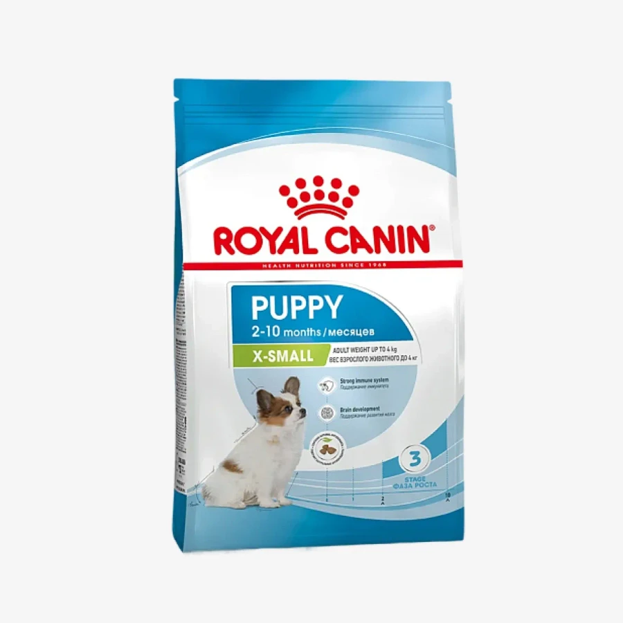 frame - 2026-04-22T104623.811.webp