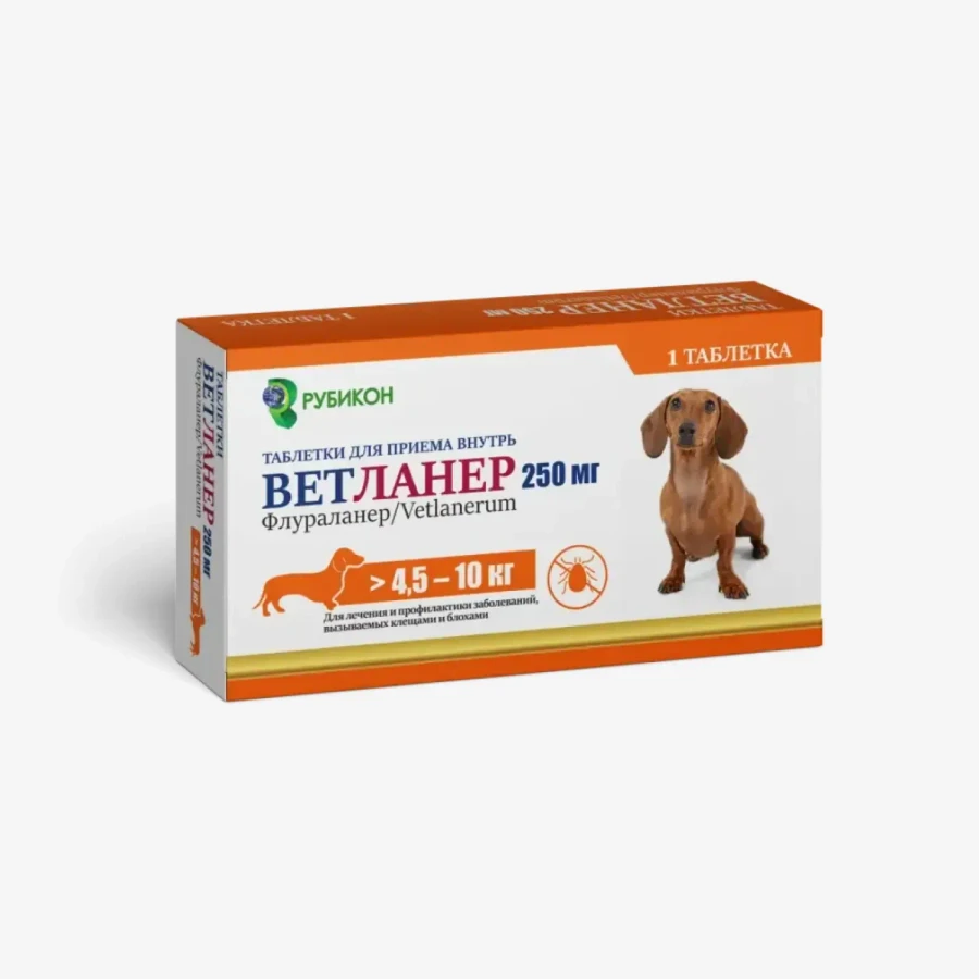 frame - 2026-04-22T110645.496.webp