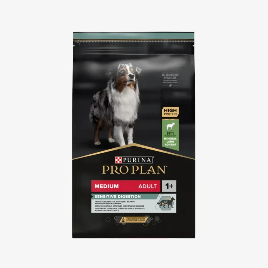 frame - 2026-04-27T143730.078.webp