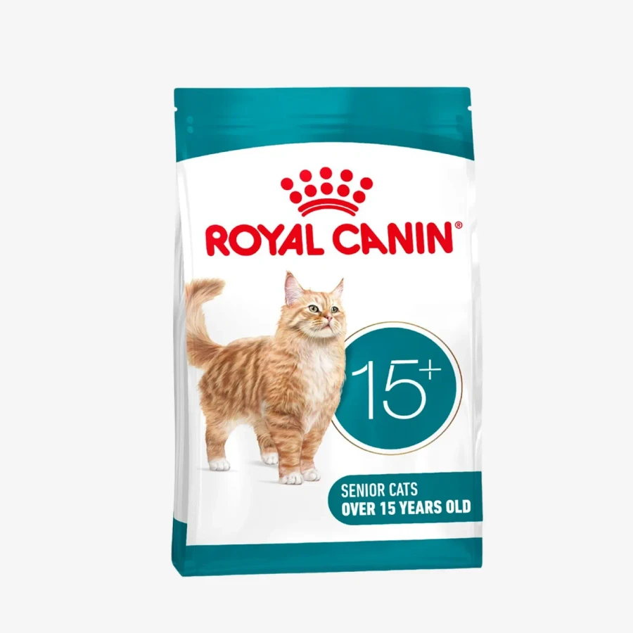 frame - 2026-04-28T153403.977.webp