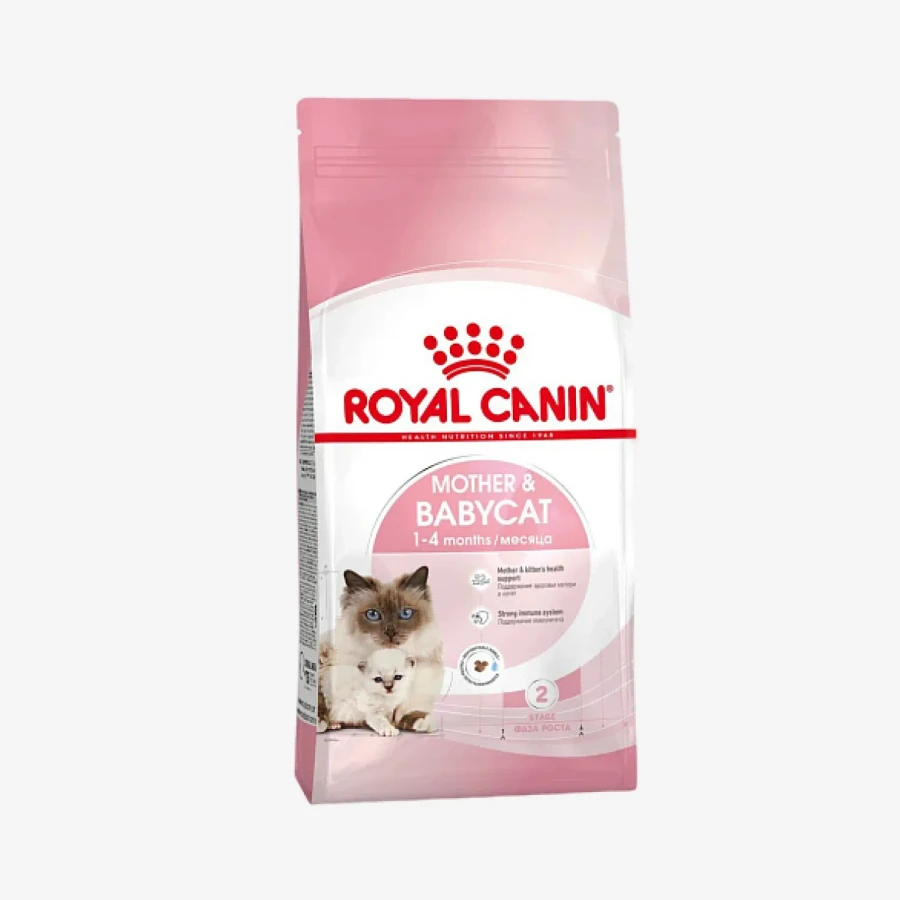 _monge_cat_bwild_grain_free_85_monge_cat_bwild_grain_free_85_ - 2026-05-01T095544.684.webp