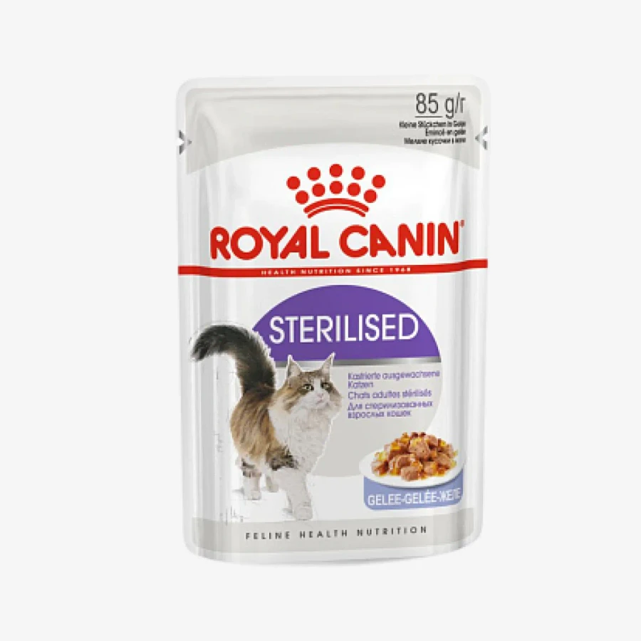 _monge_cat_bwild_grain_free_85_monge_cat_bwild_grain_free_85_ - 2026-05-04T123849.309.webp