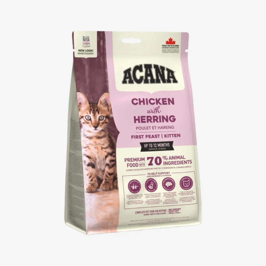 _monge_cat_bwild_grain_free_85_monge_cat_bwild_grain_free_85_ - 2026-05-04T142639.653.webp