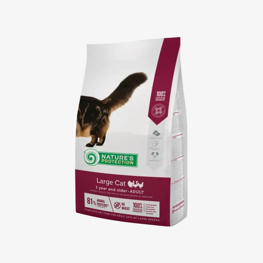 _monge_cat_bwild_grain_free_85_monge_cat_bwild_grain_free_85_ (3).webp